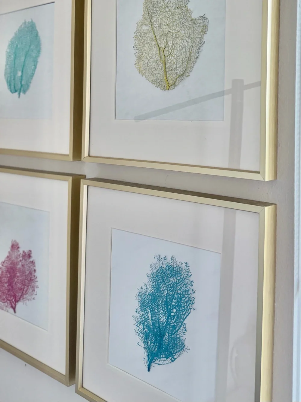 Set of 4 Framed Real Painted Sea Fan Corals | Coastal Wall Art | 12” x 12”